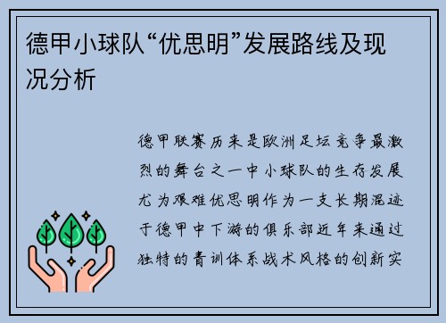 德甲小球队“优思明”发展路线及现况分析